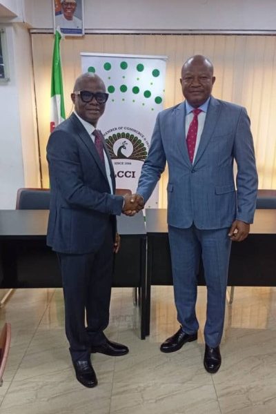 Dr. Femi Eguakhide elected LCCI Auto Group Chair, vows sector revival