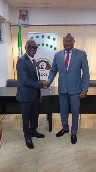 Dr. Femi Eguakhide elected LCCI Auto Group Chair, vows sector revival
