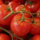 Regular Tomato consumption may help prevent prostate issues in men, experts suggest