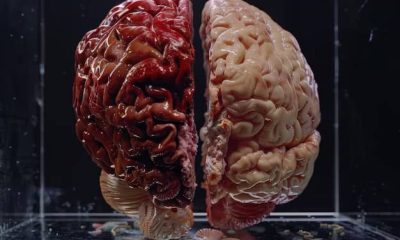 Habits your brain will love