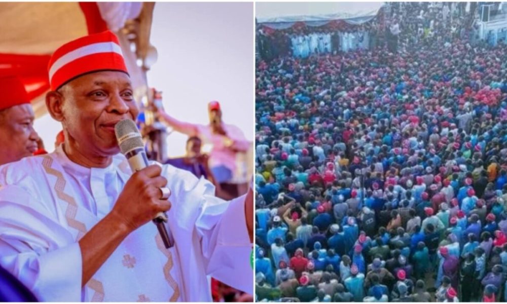 NNPP retains grip on Kano Assembly with victory in Bagwai/Shanono by-election