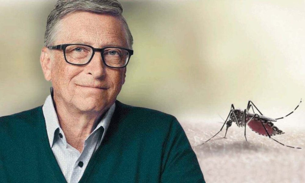 Burkina Faso halts Bill Gates–backed genetically modified Mosquito program