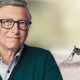Burkina Faso halts Bill Gates–backed genetically modified Mosquito program