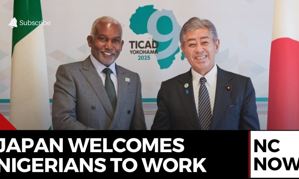 Japan denies plans for special visa program for Nigerians in Kisarazu