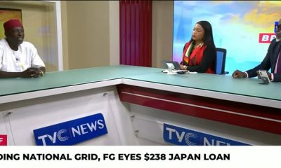 Nigeria Is Losing Its Independence, Returning to Economic Slavery – Princewill Okorie