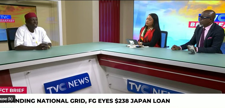 Nigeria Is Losing Its Independence, Returning to Economic Slavery – Princewill Okorie