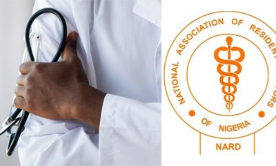 ARD Doctors Begins Strike