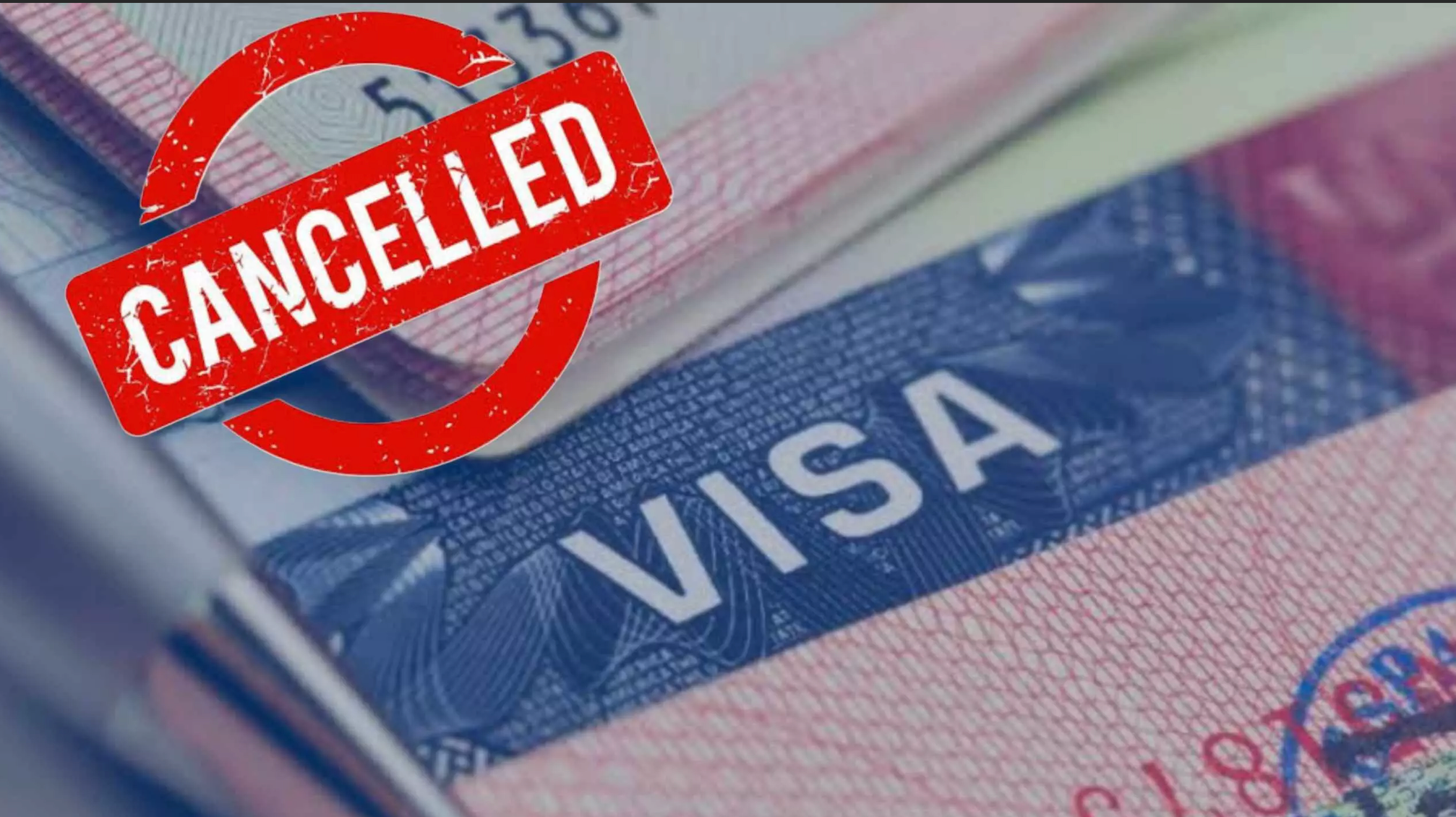 Silence from Abuja as Nigerians face quiet US visa cancellations