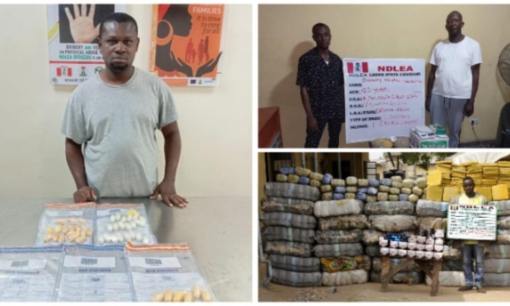 Brazilian returnee, hotel handler, others Nabbed as NDLEA dismantles drug syndicates