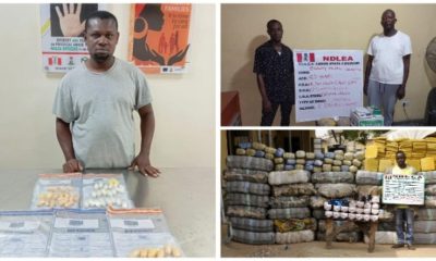 Brazilian returnee, hotel handler, others Nabbed as NDLEA dismantles drug syndicates