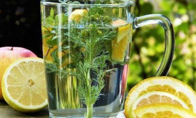 From kitchen to clinic: Studies highlight wide-ranging health benefits of Lime