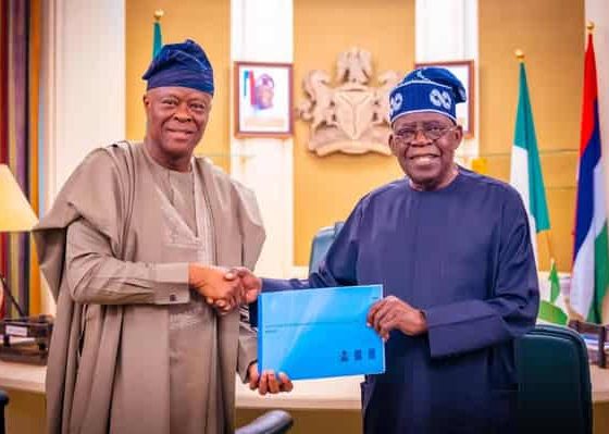 President Tinubu, Minister Wale Edun and Nigeria’s Fiscal Profile: The Truth and the Lies