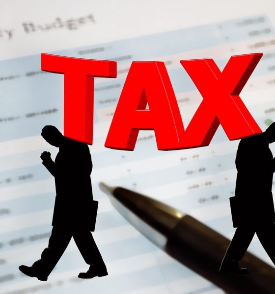 NIN now serves as tax ID for Nigerians under new tax regime — FIRS, experts clarify