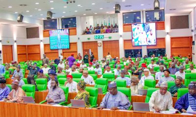Reps summon Bank CEOs over alleged illegal deductions, launches probe into unexplained charges