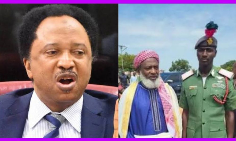 Shehu Sani slams Sheikh Gumi, other critics of anti-terror strikes