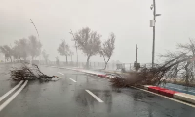 Powerful storm batters Sicily, triggers red alert, mass closures across coastal towns