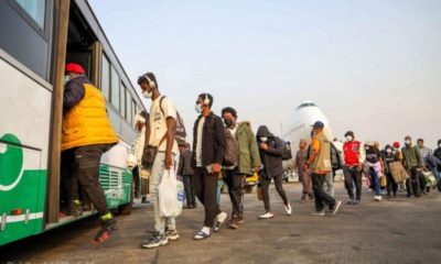 Breaking: FG responds to claims of abandoning Nigerian students in Morocco