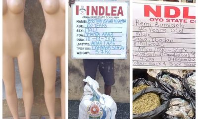 NDLEA re-arrests 80-year-old ex-convict, seizes drugs hidden in Mannequins