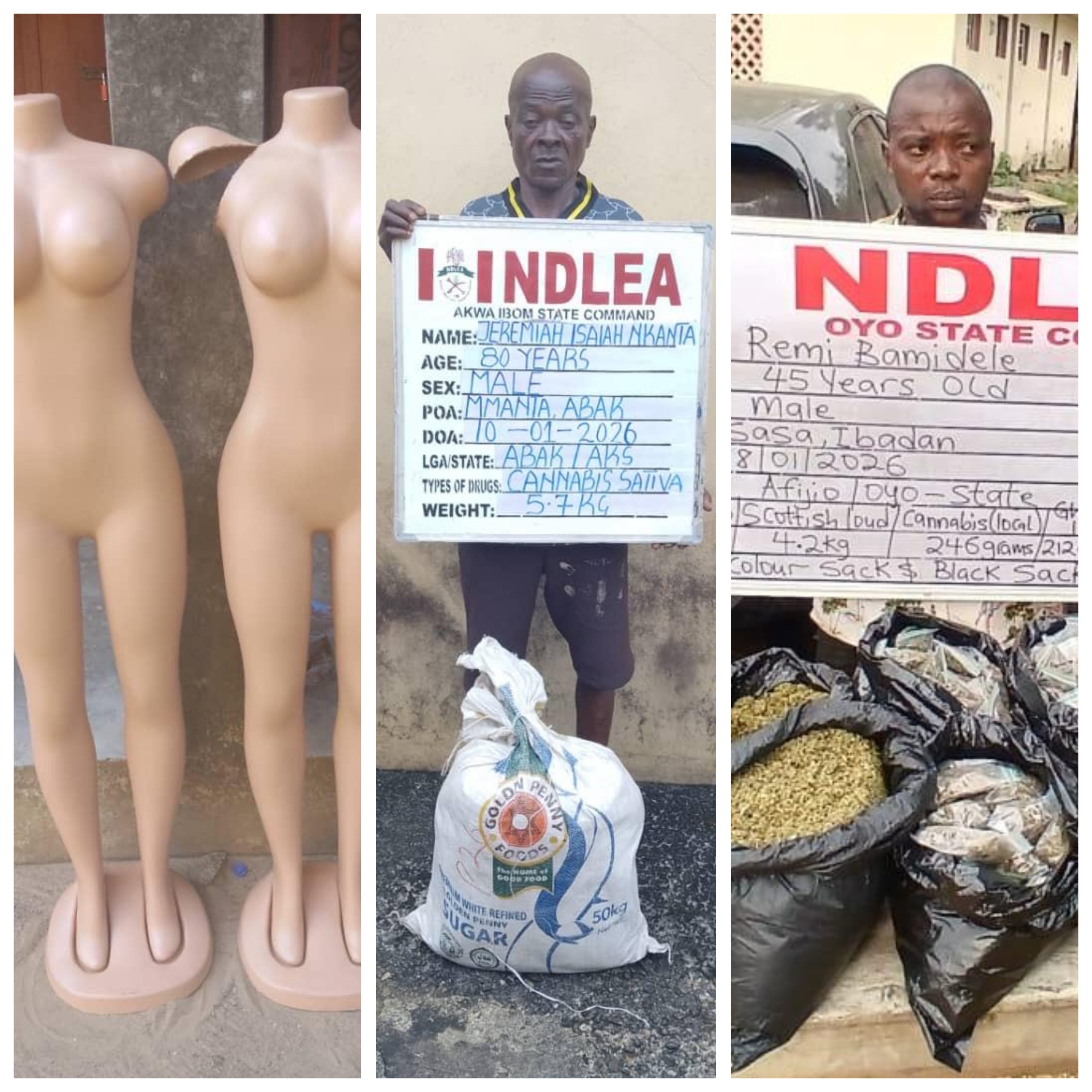 NDLEA re-arrests 80-year-old ex-convict, seizes drugs hidden in Mannequins