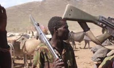 Armed Miyetti Allah saga raises alarms over Nigeria’s security architecture