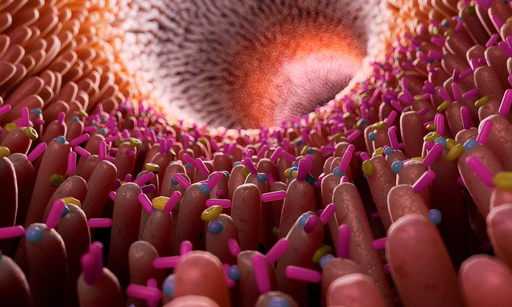 New study warns everyday chemicals may act as ‘hidden antibiotics’ in human gut