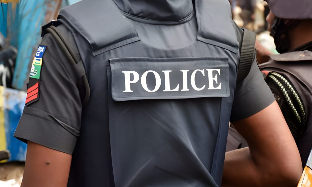 Seven killed as gunmen storm family home in Kano, police launch manhunt