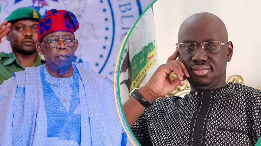 Timi Frank slams GCON for Chagoury, warns of normalised corruption