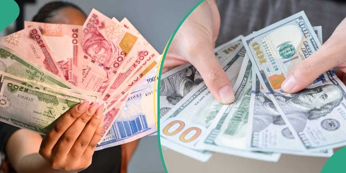 Naira slips to N1,340/$ as stronger U.S. Dollar widens gap between official, parallel markets