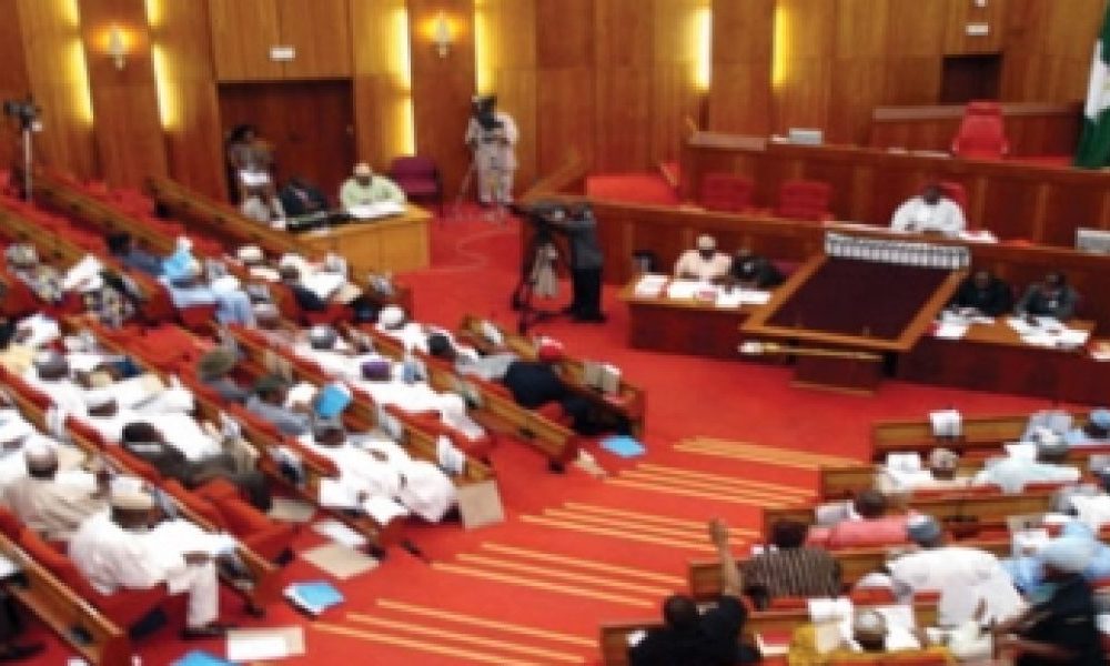 Senate’s electoral act amendment sparks outrage as experts warn of threat to democratic credibility