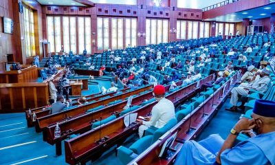 Electoral Bill: Opposition lawmakers protest as House adopts Senate’s clause
