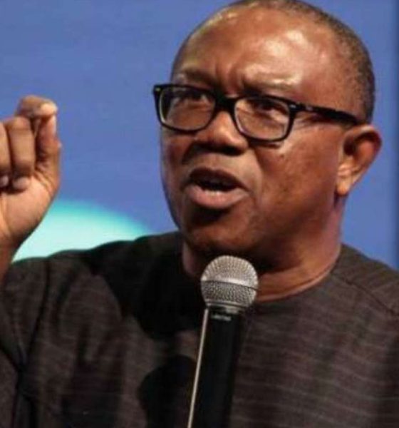 'We strategise about 2027, while Nigerians struggle to survive 2026' - Peter Obi