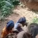 Disturbing video emerges showing bandits beat abducted man, children in Niger State