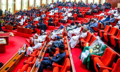 Senate’s rejection of mandatory real-time result transmission reignites electoral transparency debate