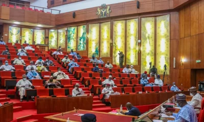 HURIWA faults Senate over electoral bill 2026, decries omission of mandatory real-time result transmission