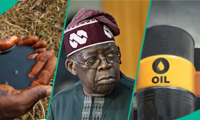 Tinubu’s direct oil revenue remittance order gains praise amid legal clarifications call