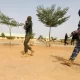 50 feared dead, women, children abducted as gunmen lay siege to Zamfara village