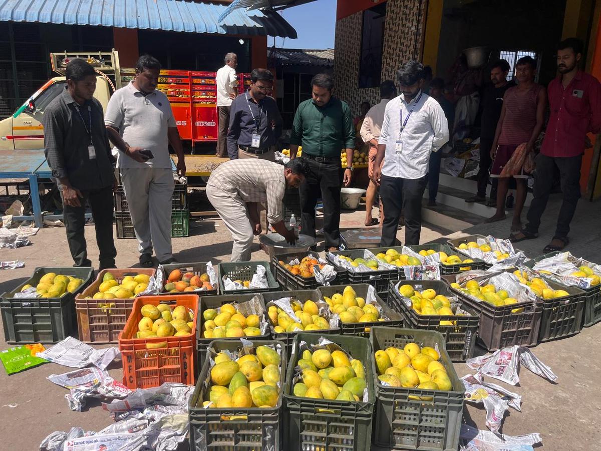 Oyo seizes chemically ripened mangoes, warns vendors over unsafe food practices
