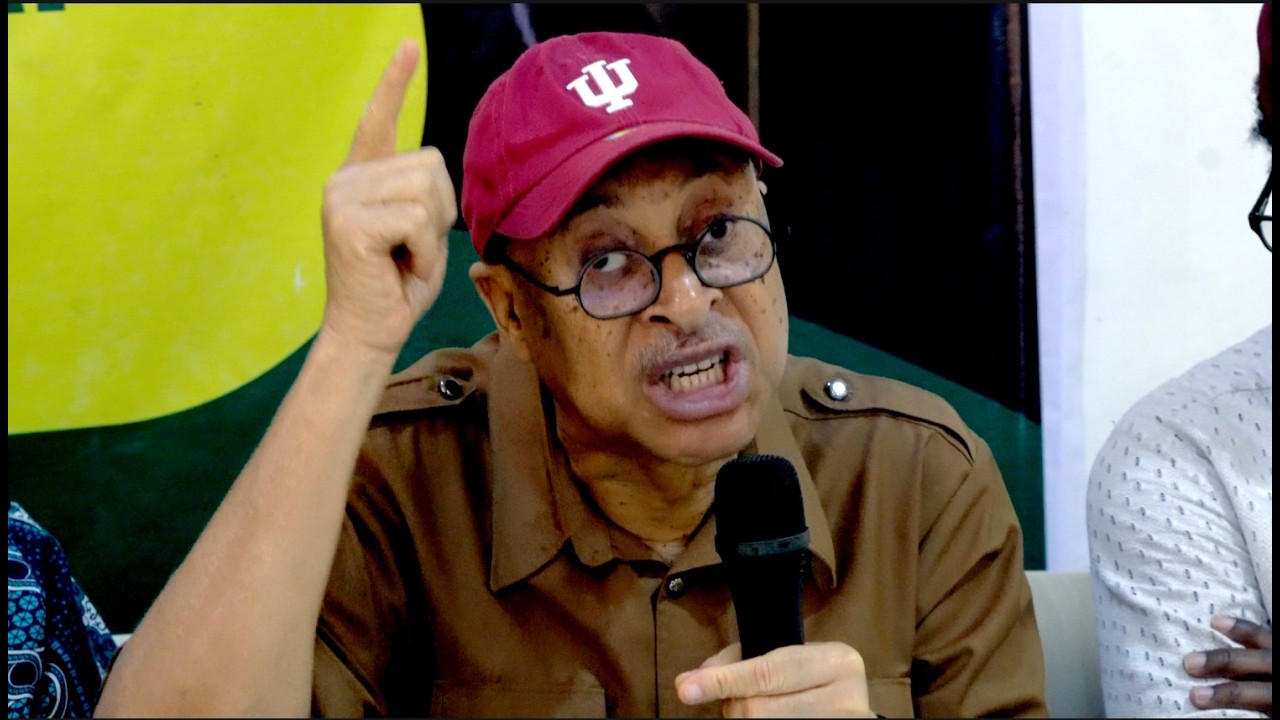 Pat Utomi warns electoral act amendment could trigger ‘Sudan-style crisis’