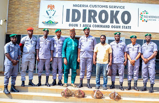 Nigeria Customs Customs Rescue Four Live Pangolins, Smugglers Flee Scene