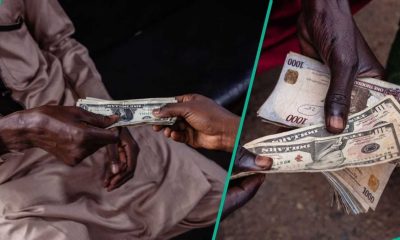 Energy price surge sends Dollar lower, strengthens Euro, Yen, Sterling