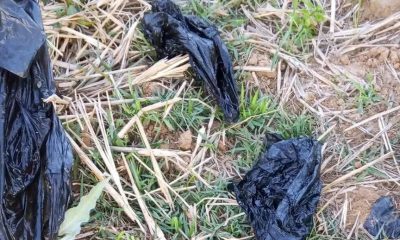 Aborted twin babies found in refuse dump shock Plateau state community