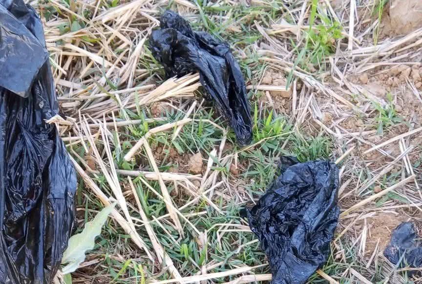 Aborted twin babies found in refuse dump shock Plateau state community