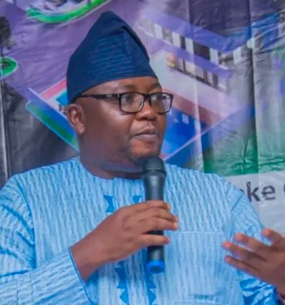 Minister of Power urges Nigerians to stay patient amid electricity challenges