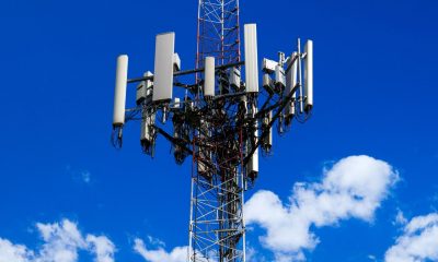 Study links living near telecom towers to elevated immune stress markers