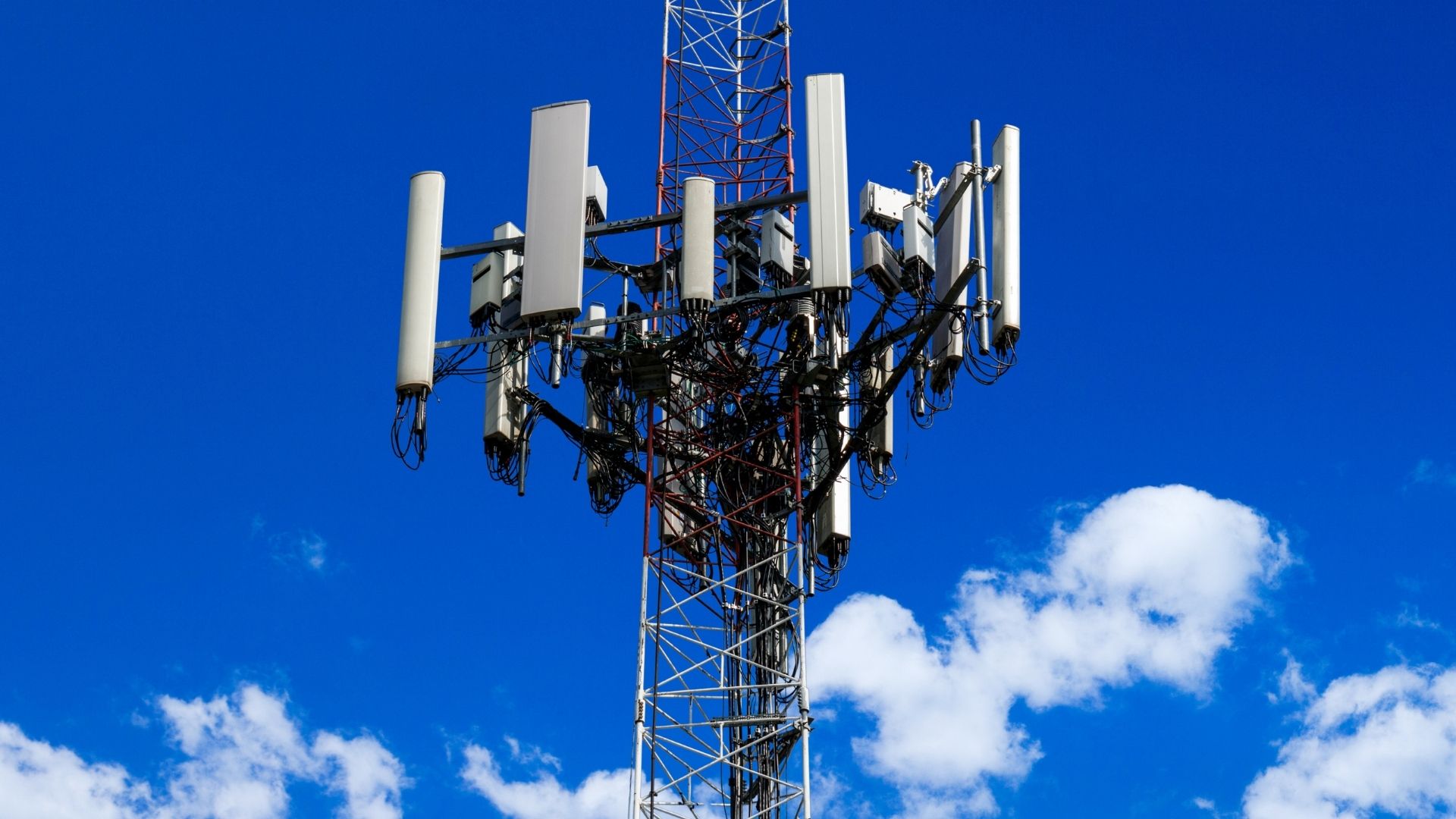 Study links living near telecom towers to elevated immune stress markers