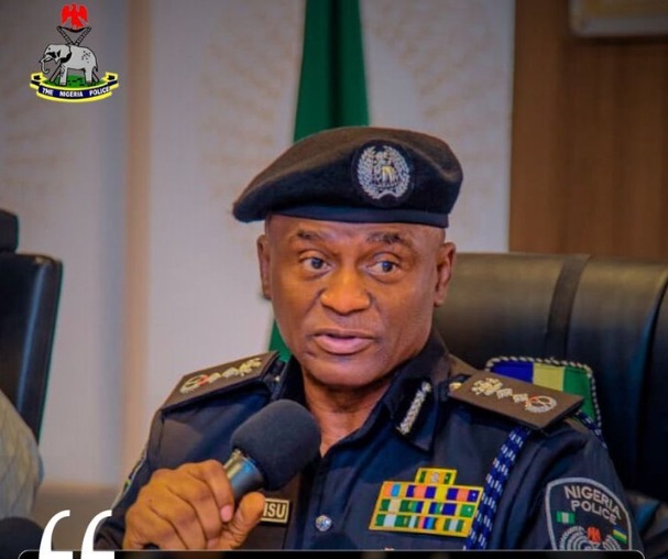 IGP submits 75-page state police blueprint to senate, declares reform 'irreversible'