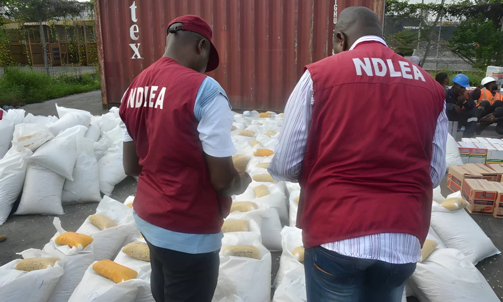 NDLEA nabs ‘Iya Ghana’ in Lagos, seizes over 1.8 tonnes of drugs