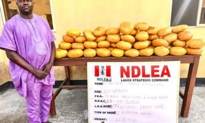 NDLEA cracks down on drug trafficking across Nigeria, multiple arrests, seizures recorded