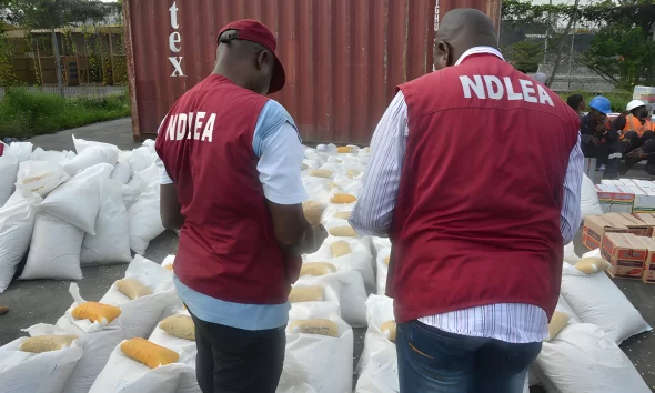 NDLEA nabs ‘Iya Ghana’ in Lagos, seizes over 1.8 tonnes of drugs