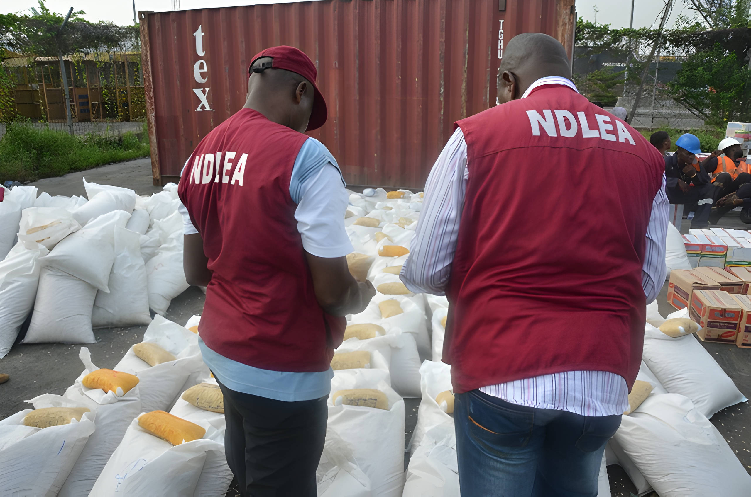 NDLEA nabs ‘Iya Ghana’ in Lagos, seizes over 1.8 tonnes of drugs